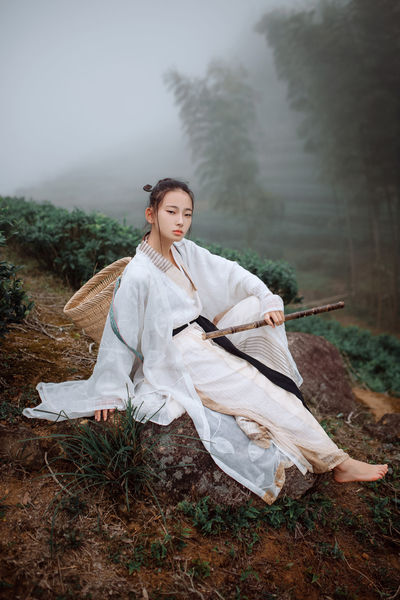 桃花小妹下载