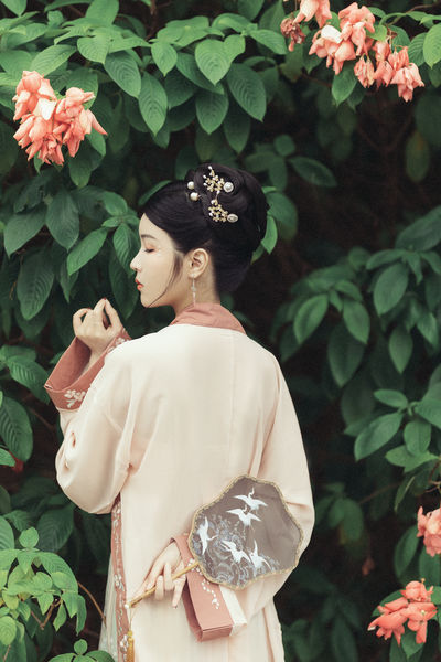 菠萝蜜播放