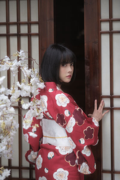 野花视频在线观看免费播放高清版